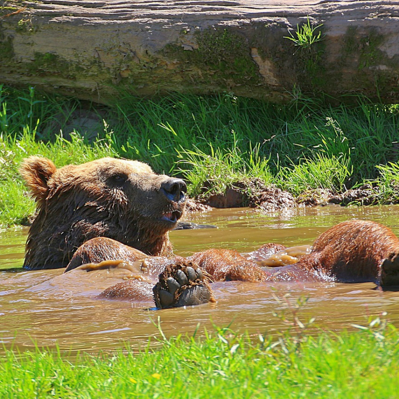 Schwitzen Hitzewallungen nach der Menopause